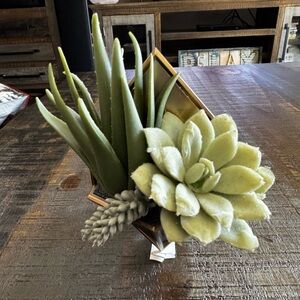 Bath & Body Works Succulent Wallflower warmer